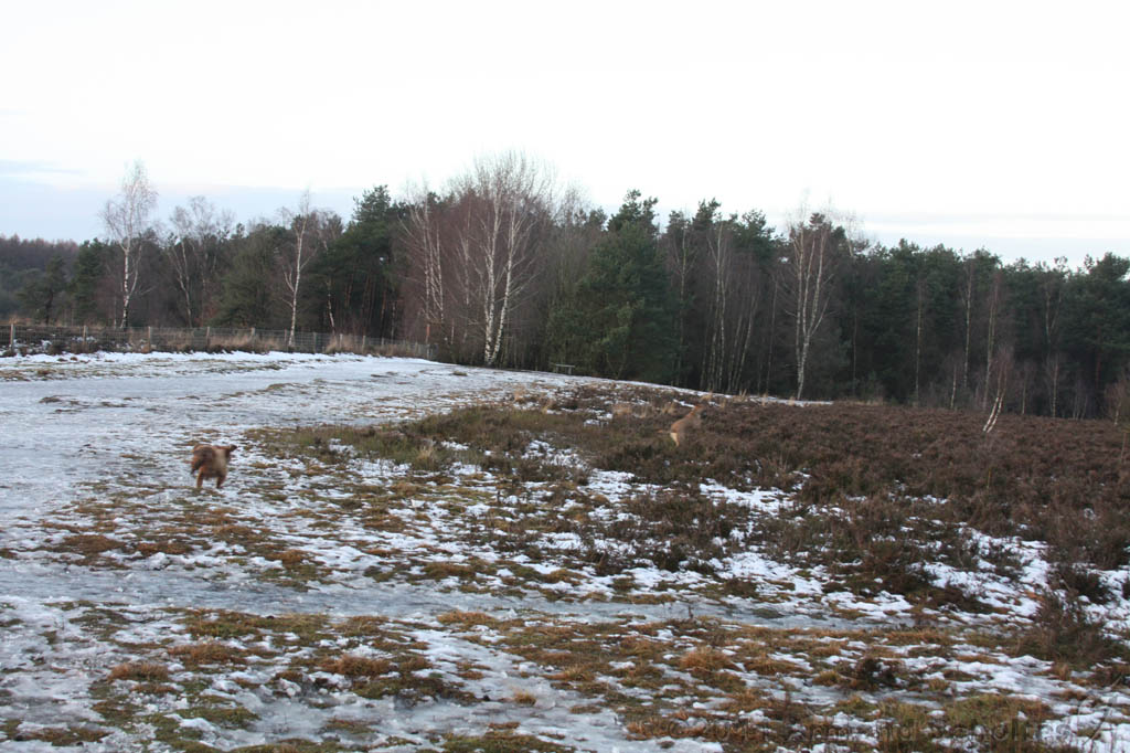 Nieuwjaarswandeling_2011_034.jpg