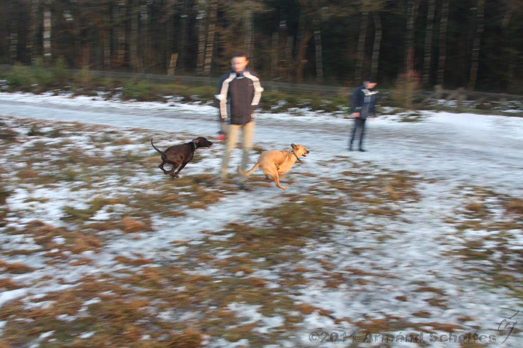 Nieuwjaarswandeling_2011_044.jpg
