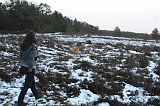Nieuwjaarswandeling_2011_015