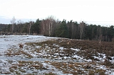 Nieuwjaarswandeling_2011_034