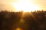 Nieuwjaarswandeling_2011_035