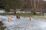 Nieuwjaarswandeling_2011_039