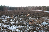Nieuwjaarswandeling_2011_045