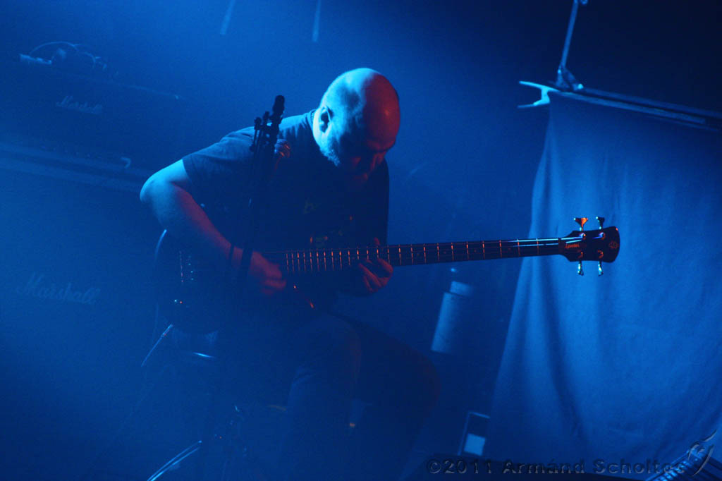 SonsOfOtis_Beehover_009.jpg