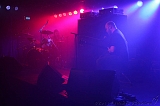 SonsOfOtis_Beehover_002