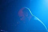 SonsOfOtis_Beehover_007
