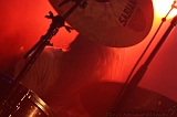 SonsOfOtis_Beehover_015