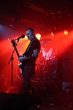 SonsOfOtis_Beehover_029
