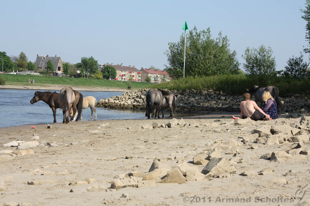 Aan_de_IJssel_046.jpg