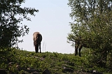 Aan_de_IJssel_007