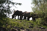 Aan_de_IJssel_014