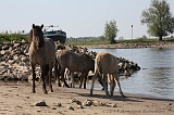 Aan_de_IJssel_025