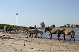 Aan_de_IJssel_026