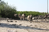 Aan_de_IJssel_029