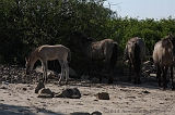 Aan_de_IJssel_032