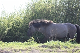 Aan_de_IJssel_037