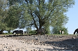 Aan_de_IJssel_045