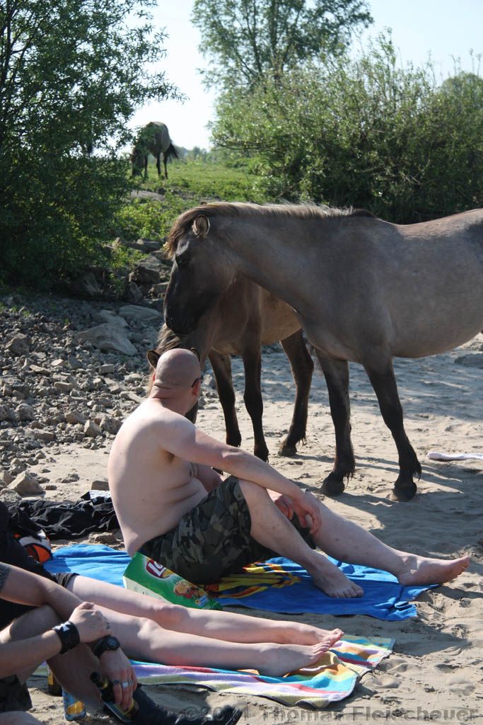 Aan_de_IJssel_byThomas_024.jpg