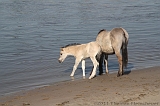 Aan_de_IJssel_byThomas_014