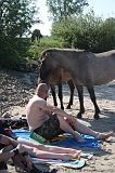 Aan_de_IJssel_byThomas_024