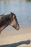 Aan_de_IJssel_byThomas_026