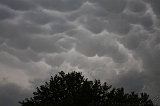 BeforeTheStorm_003