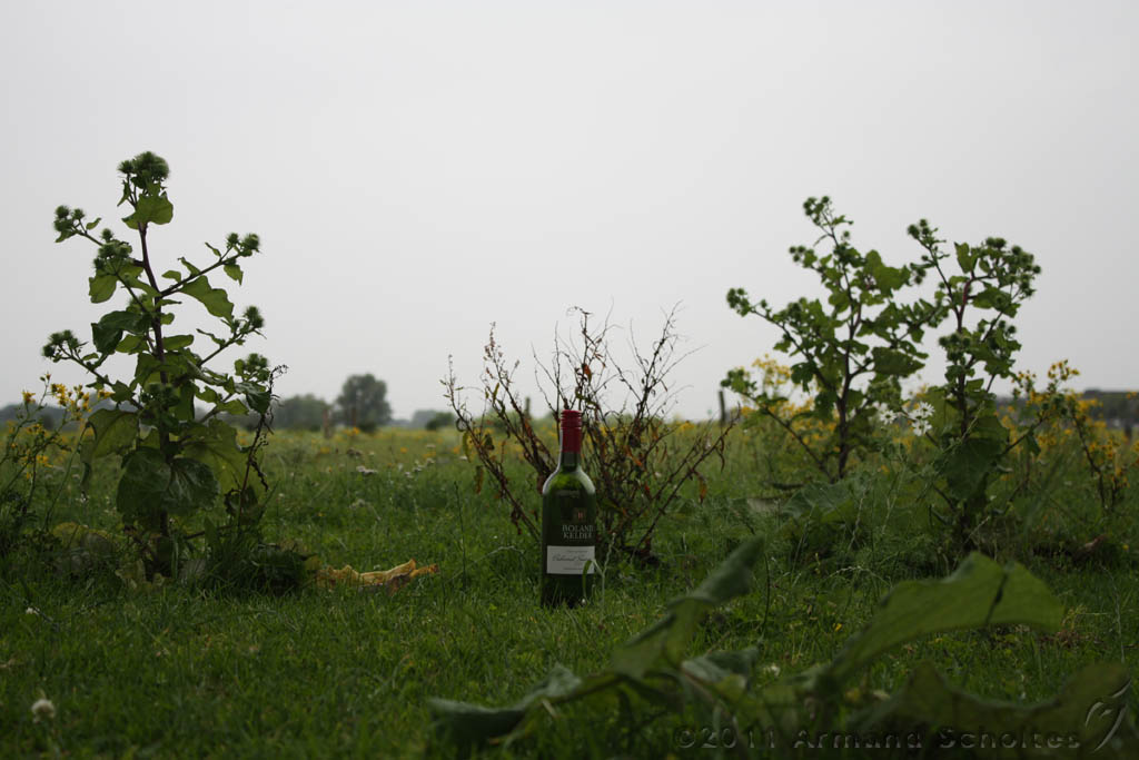 FunShootAtIJssel_024.jpg