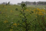 FunShootAtIJssel_004