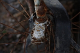 FunShootAtIJssel_008
