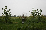 FunShootAtIJssel_024