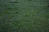 FunShootAtIJssel_026