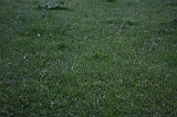 FunShootAtIJssel_027