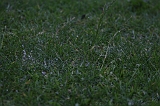 FunShootAtIJssel_028