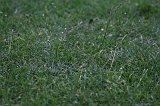 FunShootAtIJssel_029