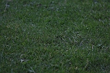 FunShootAtIJssel_032