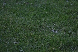 FunShootAtIJssel_033
