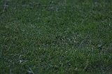 FunShootAtIJssel_034