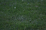 FunShootAtIJssel_036