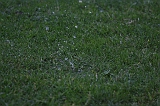 FunShootAtIJssel_037