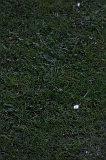 FunShootAtIJssel_040
