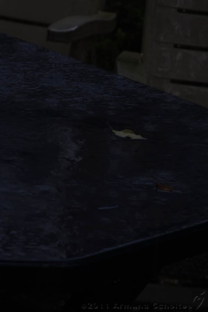 Raindrops_001.jpg