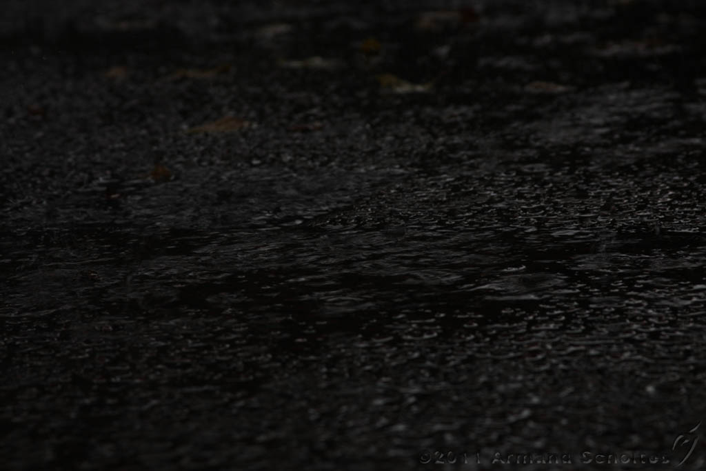 Raindrops_002.jpg