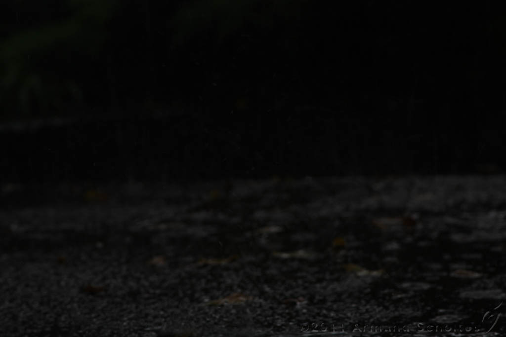 Raindrops_003.jpg