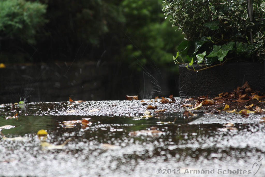 Raindrops_012.jpg