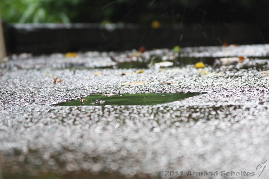 Raindrops_016.jpg