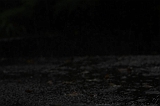 Raindrops_003