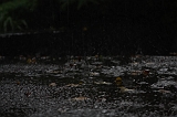 Raindrops_004