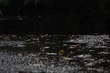 Raindrops_006