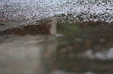 Raindrops_014