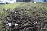 Occultfest_2011_081_TF